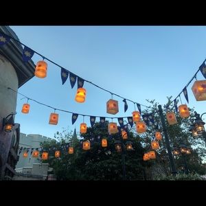 Meet your Posher, Fionna